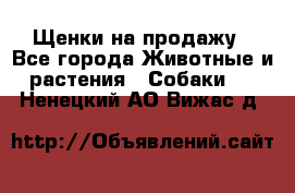 Щенки на продажу - Все города Животные и растения » Собаки   . Ненецкий АО,Вижас д.